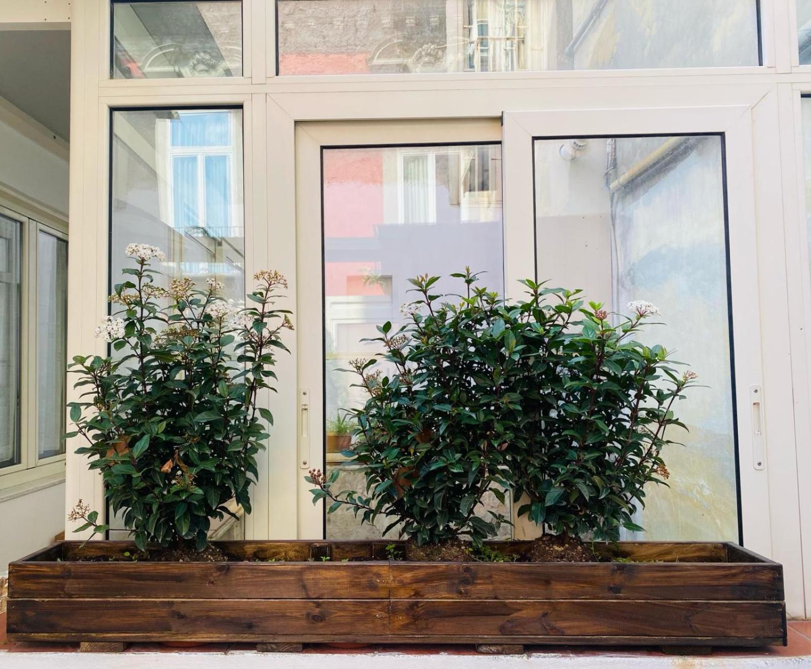 La Casa Di Apollo Lejlighed Napoli Eksteriør billede